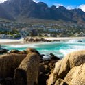 ZAF WC CapeTown 2016NOV14 CampsBay 016 : 2016, 2016 - African Adventures, Africa, November, South Africa, Southern, Western Cape, Cape Town, Camps Bay
